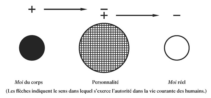 schéma tome II n°26