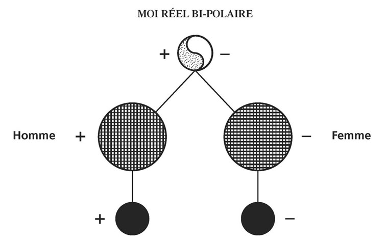 schéma tome II n°35