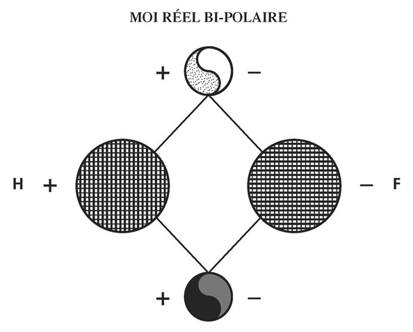 schéma tome II n°36